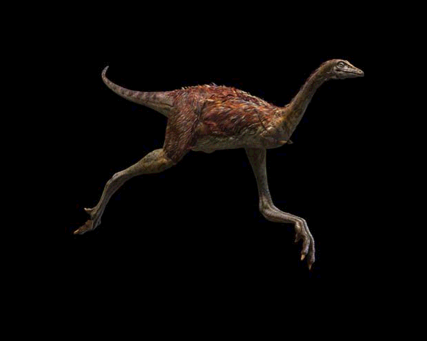 Mononykus