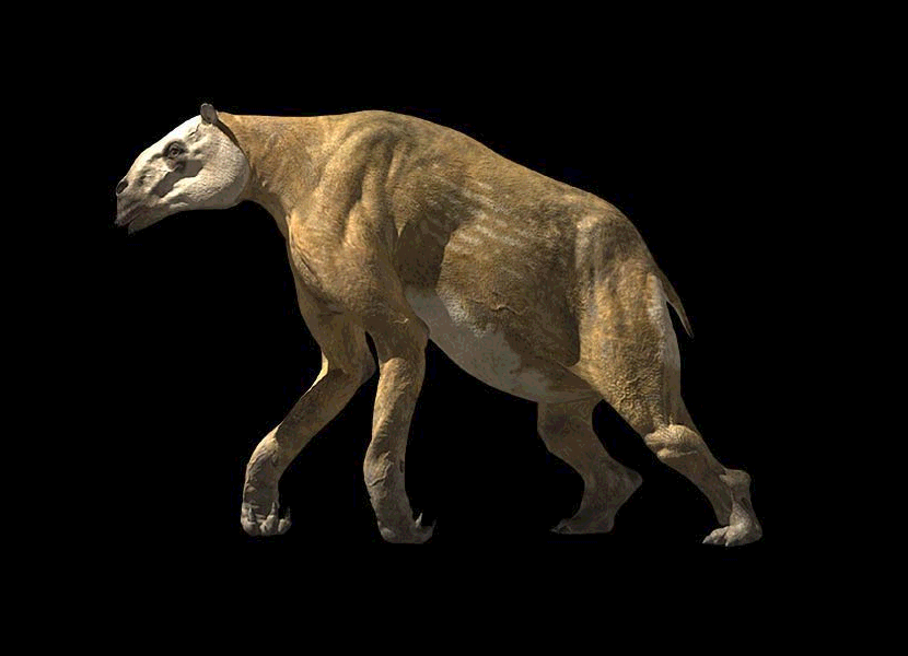 Chalicotherium