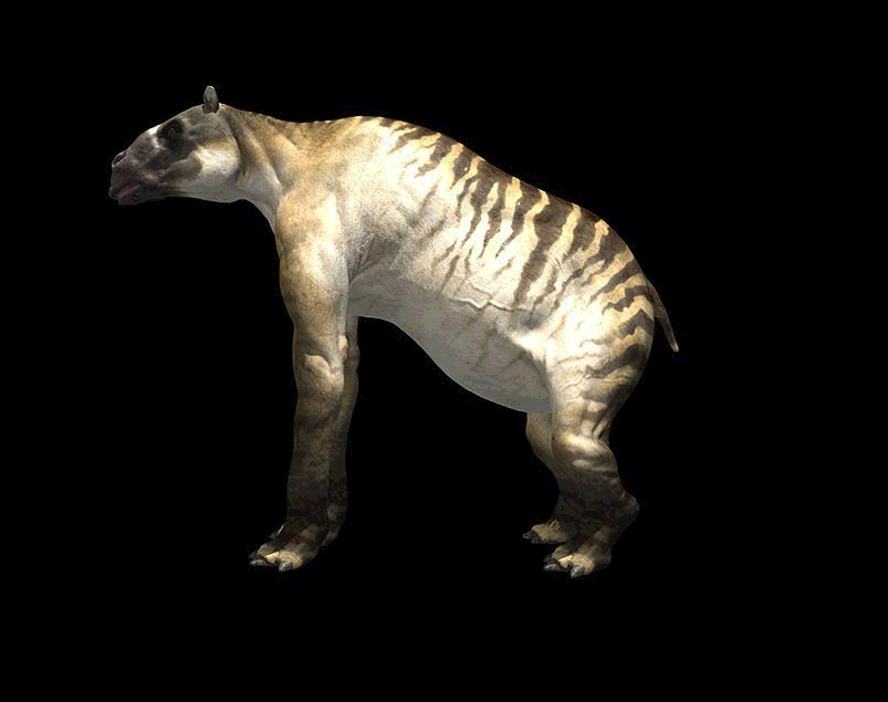 Ancylotherium hennigi
