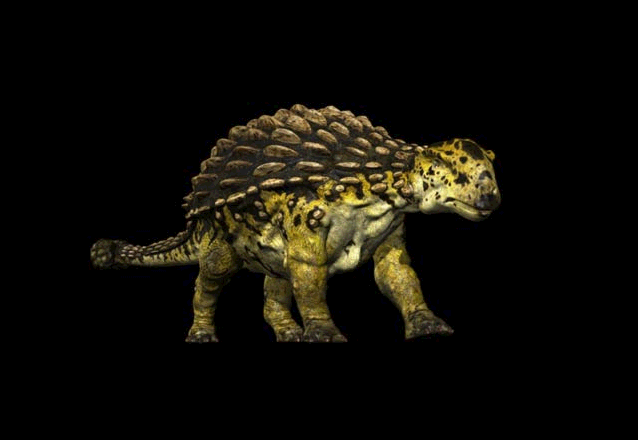 Ankylosaurus